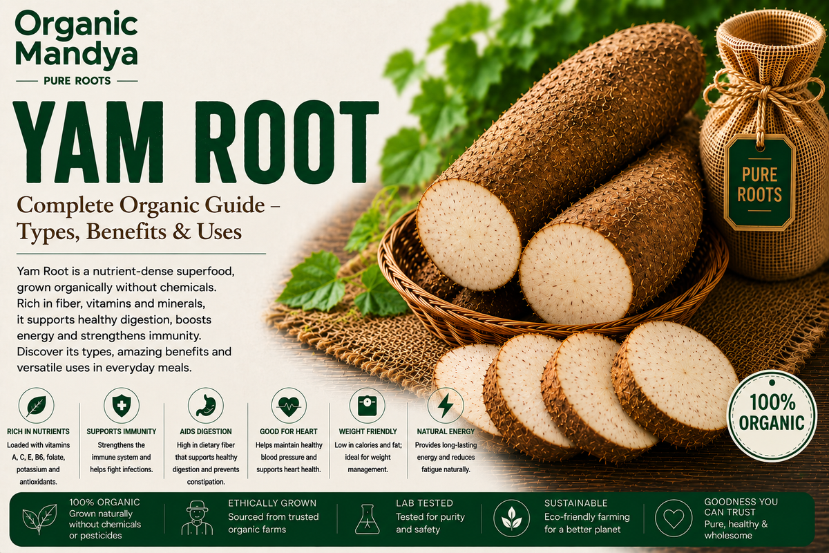 Organic Mandya Yam Root : Complete Organic Guide | Types, Benefits & Uses