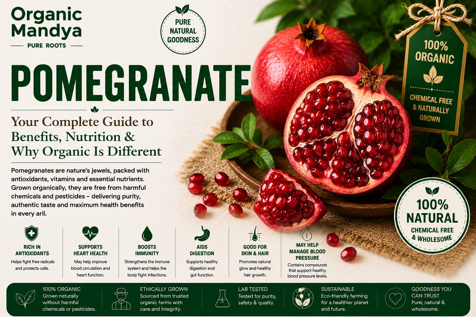 Organic Mandya Pomegranate: Complete Organic Guide | Types, Benefits & Uses
