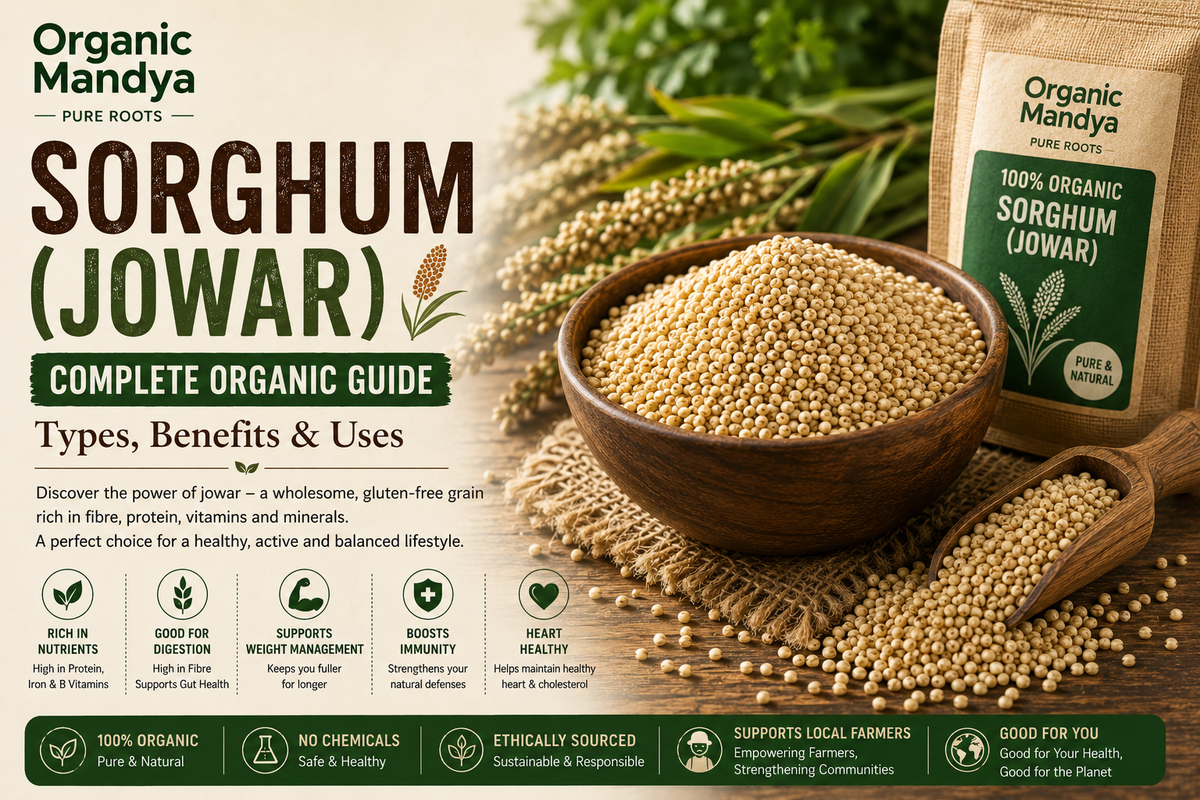 Sorghum (Jowar): Your Complete Guide to Benefits, Nutrition & Uses