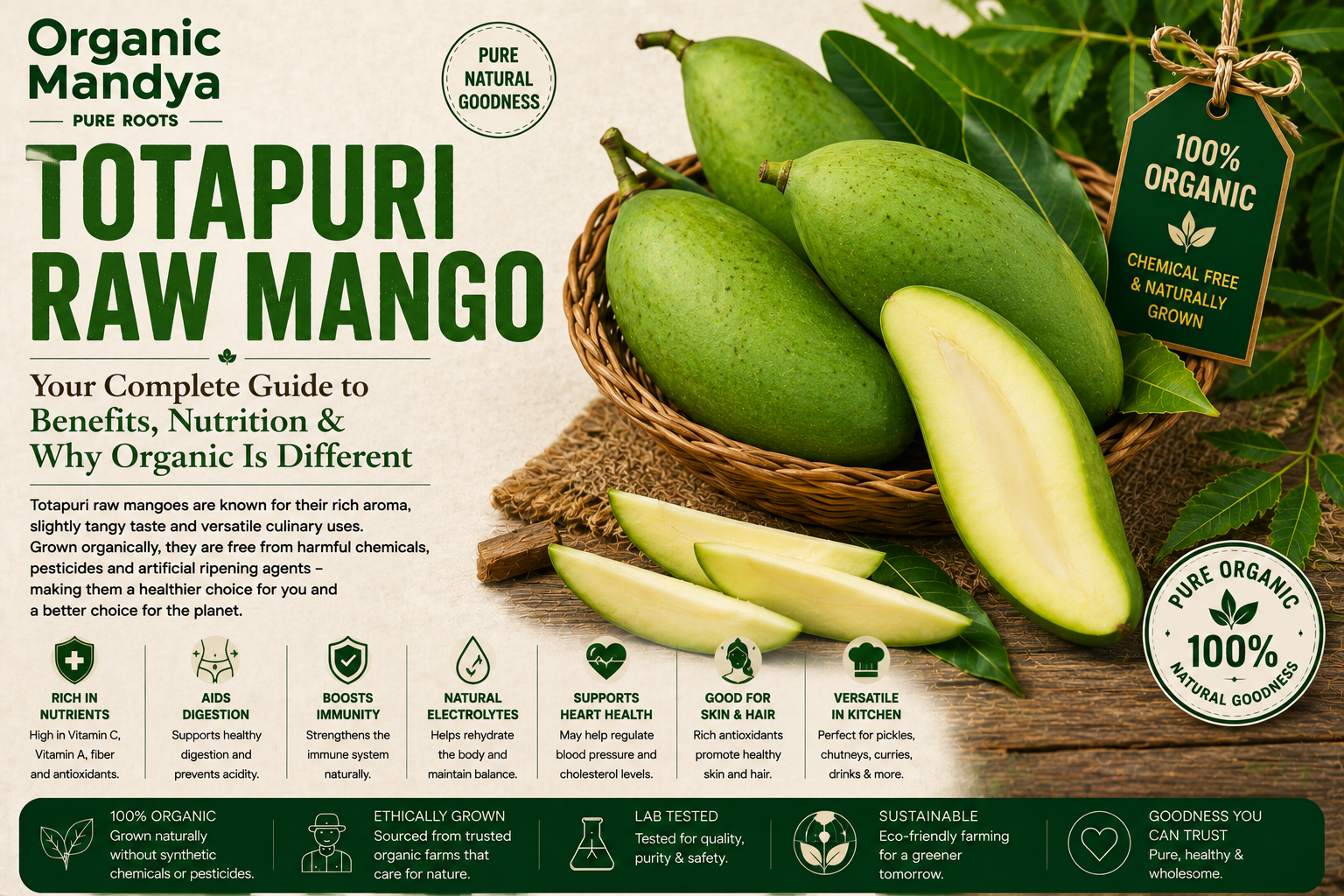 Organic Mandya Mango Totapuri Raw : Complete Organic Guide | Types, Benefits & Uses