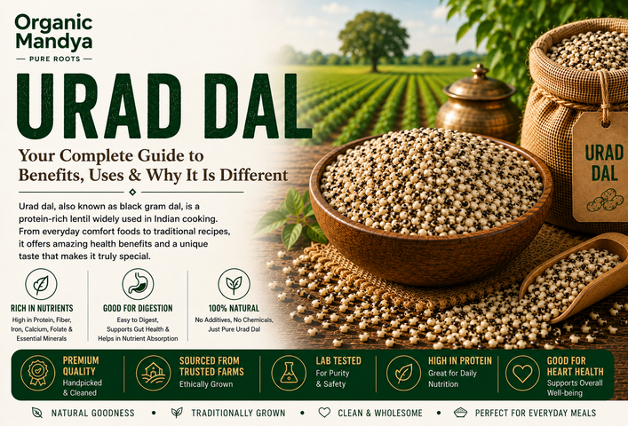 Urad Dal: Your Complete Guide to Benefits, Uses & Why It Is Different