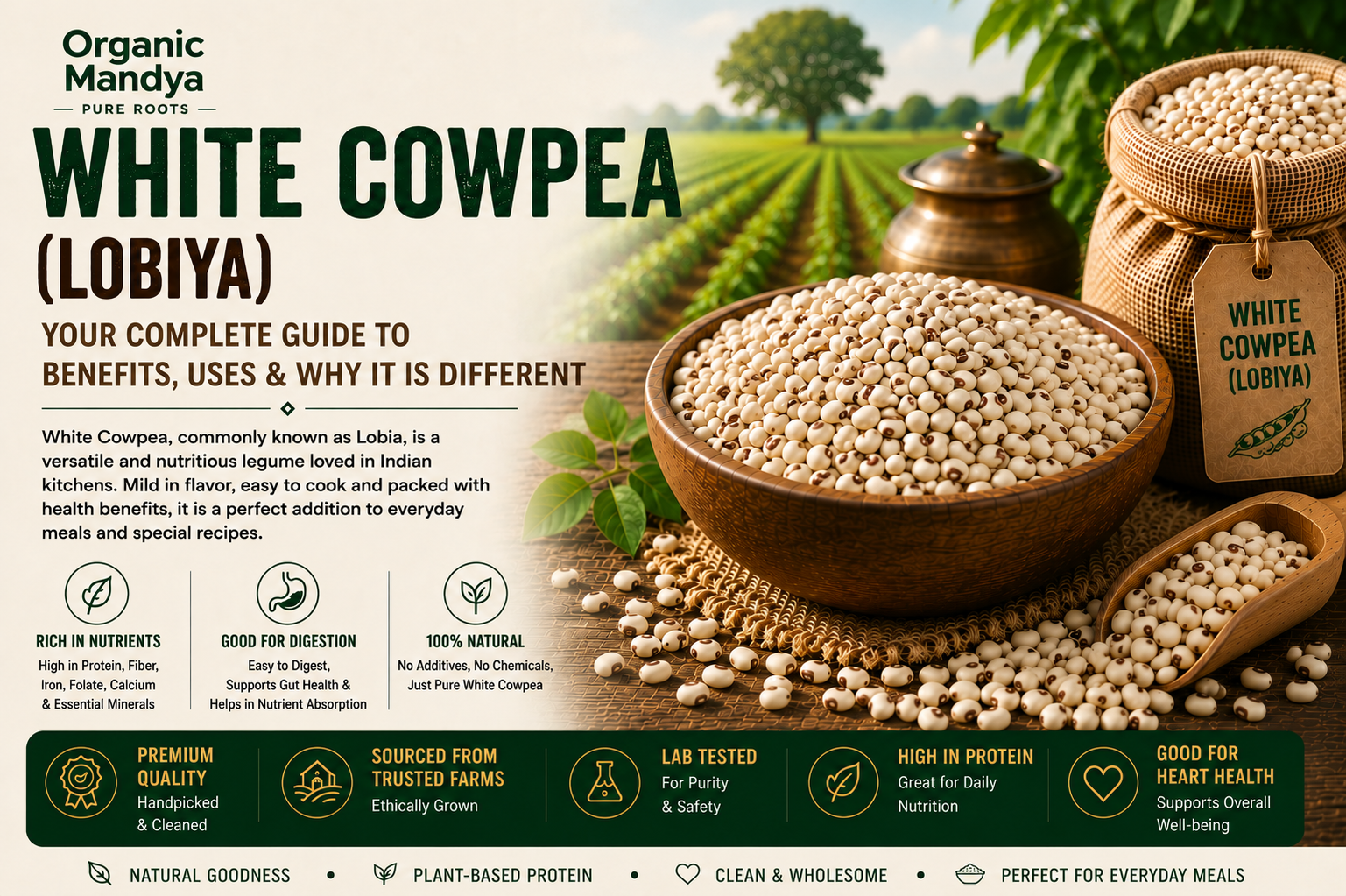 White Cowpea (Lobiya): Benefits, uses & how to choose