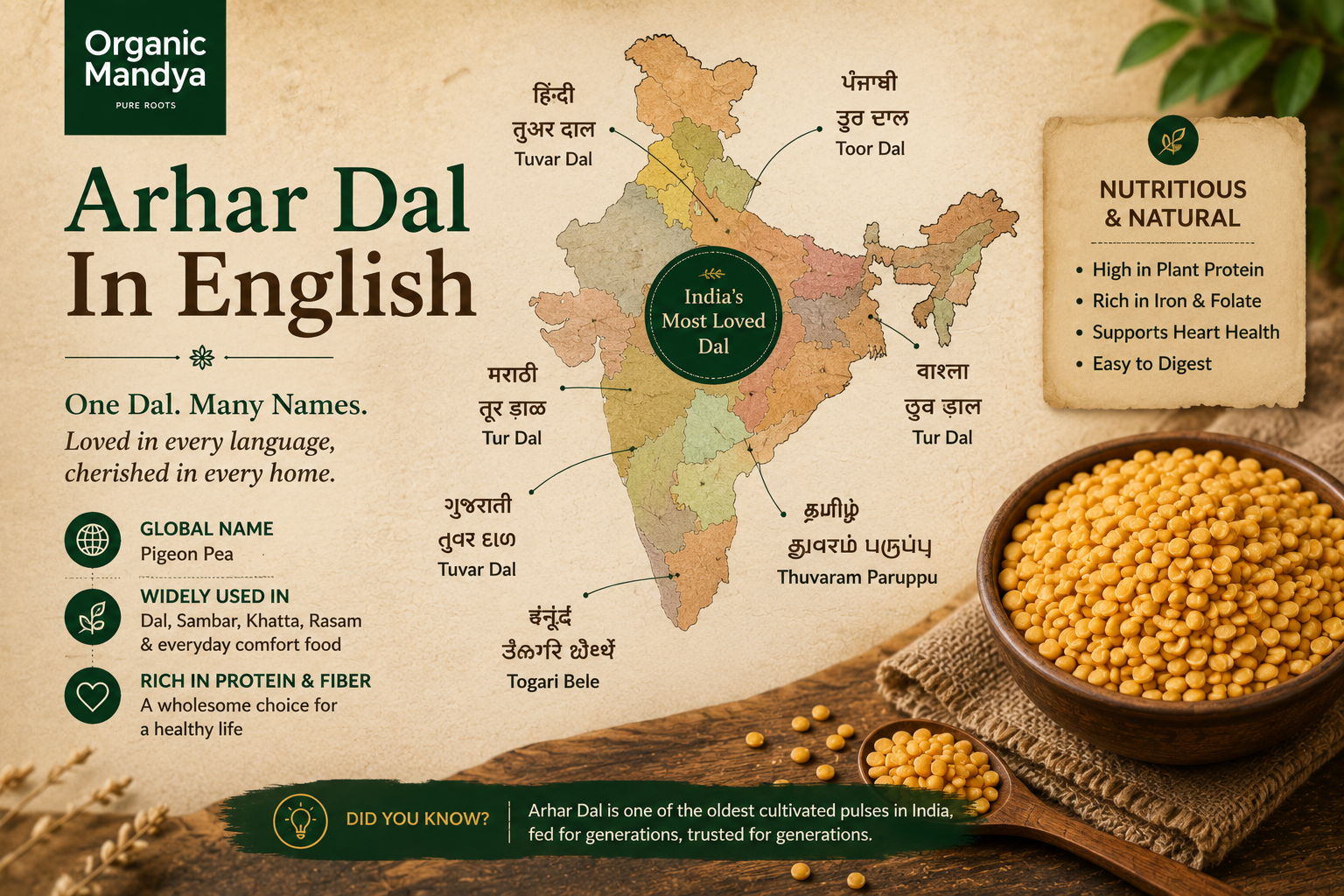 Arhar Dal In English: Names in English, Hindi & Indian Languages
