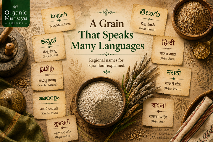 Bajra Flour In Telugu: Names in English, Hindi & Indian Languages