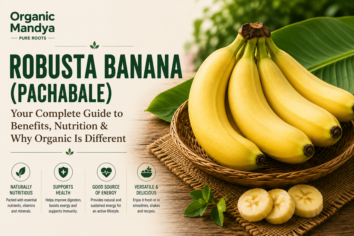 Organic Mandya Banana Pachabale (Robusta Banana): Complete Organic Guide | Types, Benefits & Uses