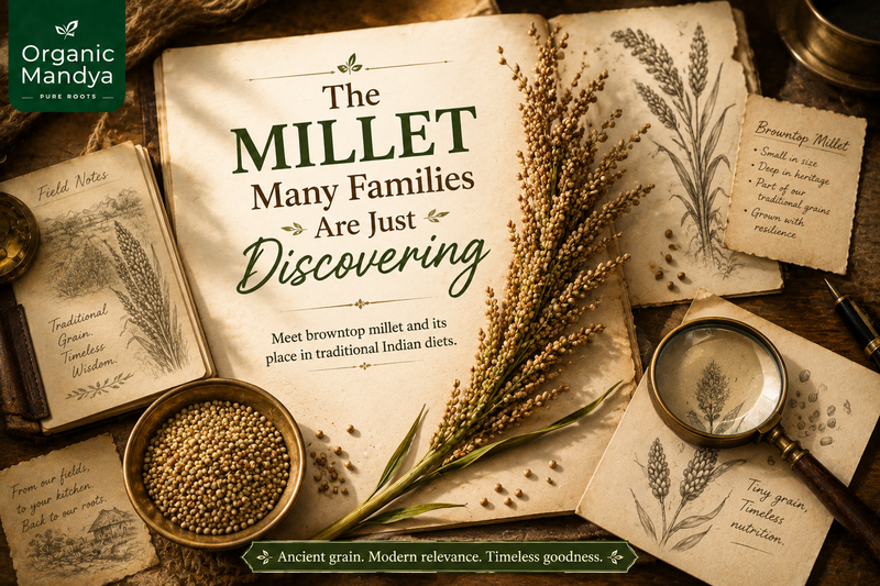 Brown Top Millet: Complete Guide for Indian Households