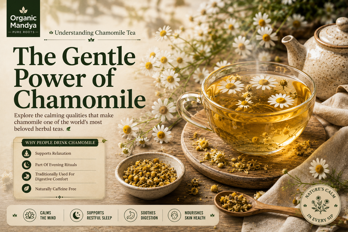 Chamomile Tea Benefits: 12 Effects on Sleep, Stress, Gut & Skin
