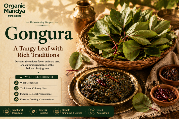 Gongura In Hindi: Names in English, Hindi & Indian Languages