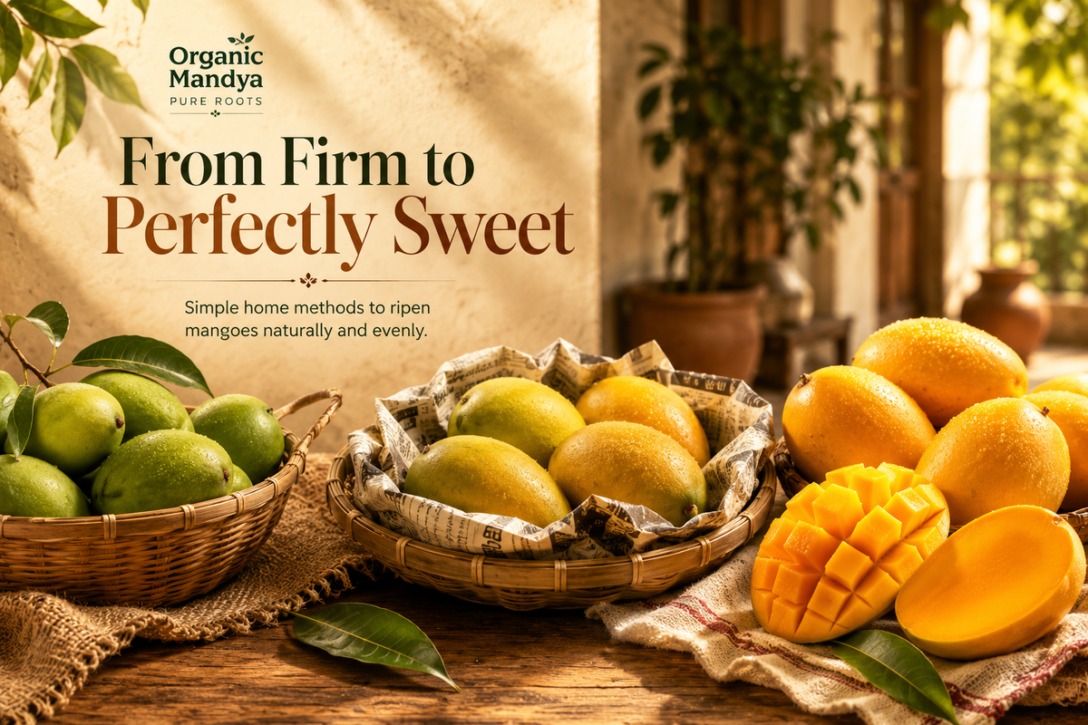How To Ripen Mangoes At Home: Step-by-Step Guide That Actually Works