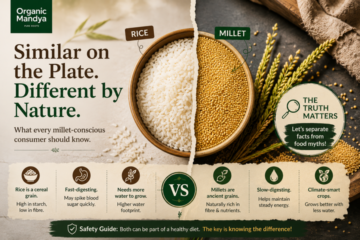 Is Rice a Millet? Honest Answer + Safety Guide