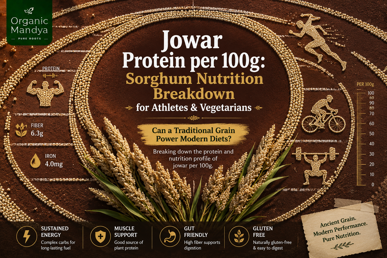 Jowar Protein per 100g: Sorghum Nutrition Breakdown for Athletes & Vegetarians