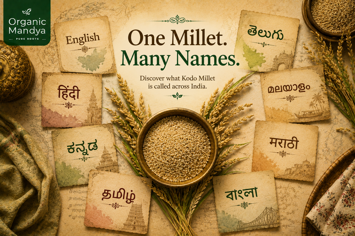 Kodo Millet In English: Names in English, Hindi & Indian Languages