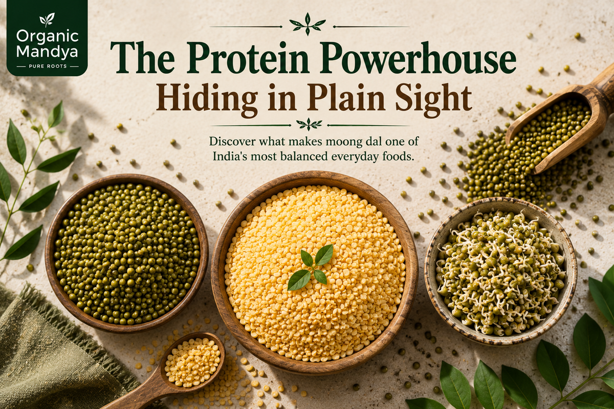 Moong Dal Protein per 100g: Detailed Macronutrient Profile
