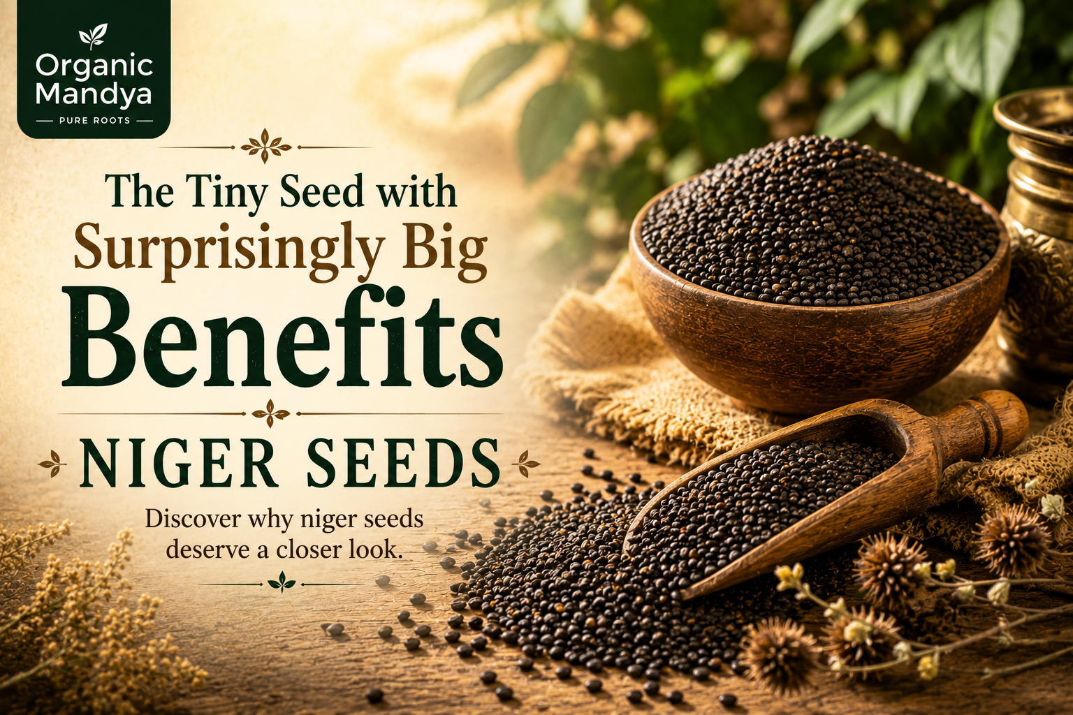 Niger Seeds Benefits: Complete Guide to Health Effects & How to Use