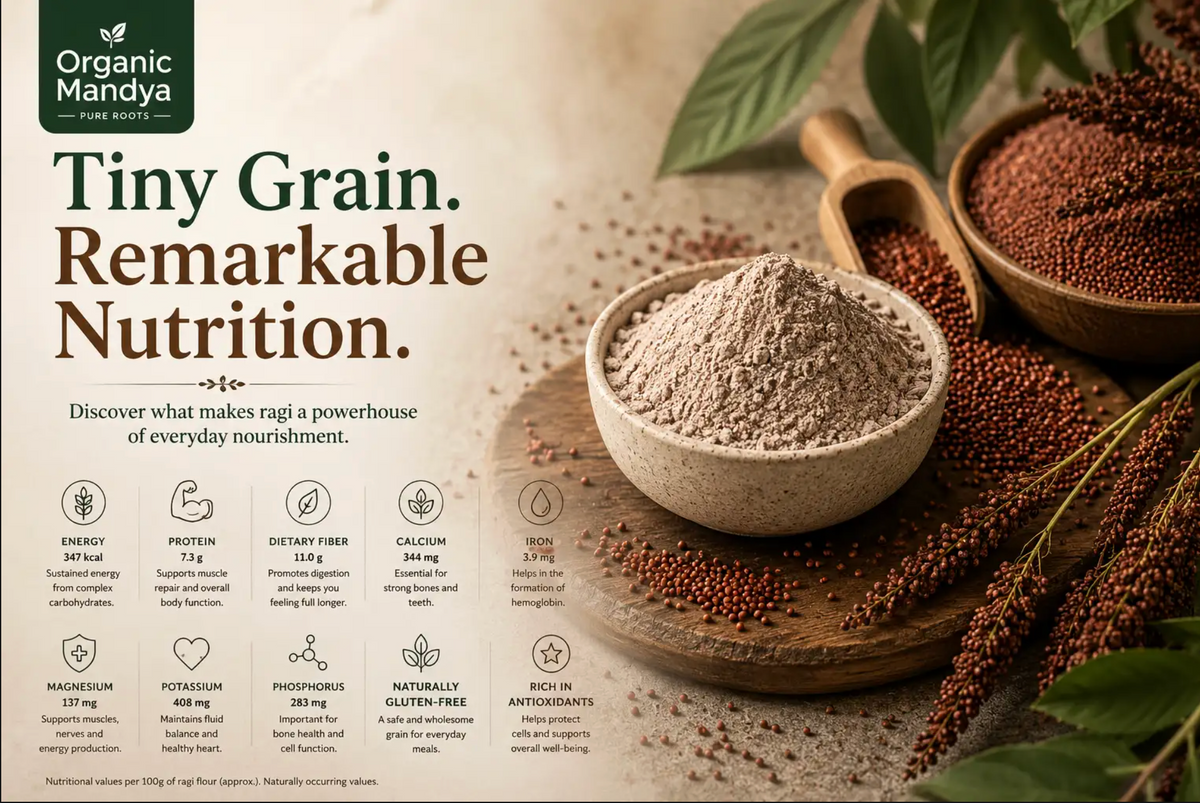 Ragi Nutritional Value Per 100G: Complete Macronutrient Breakdown