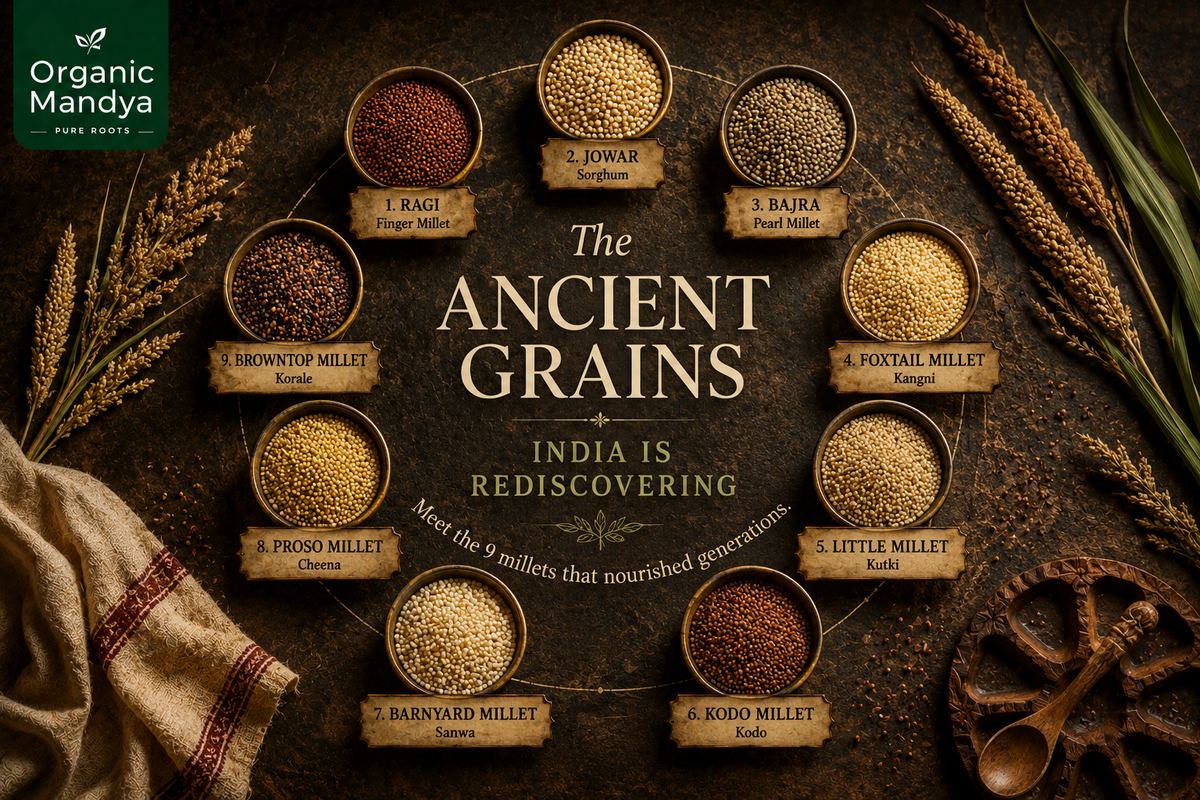 What Are Millets? Complete Guide to India's 9 Ancient Grains