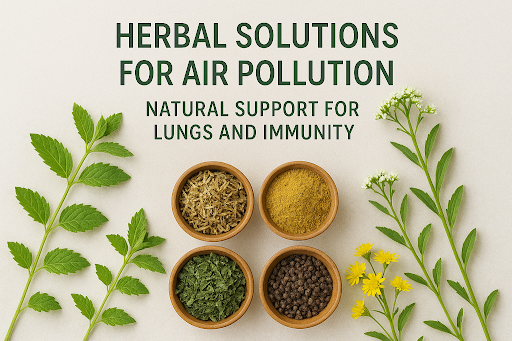 Herbal Solutions for Air Pollution: Natural Lung & Immunity Support