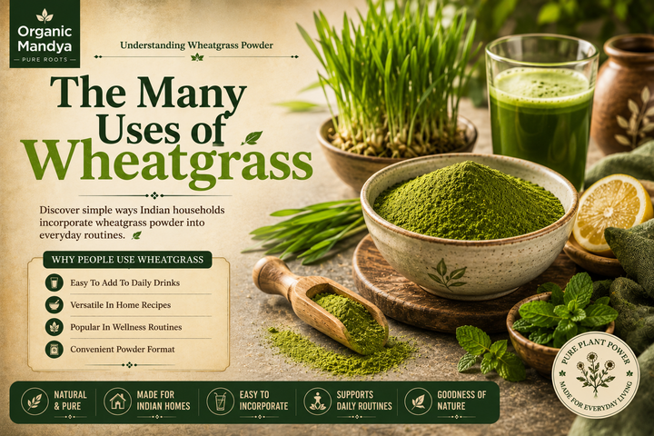 Wheat Grass Powder Uses: Complete Guide for Indian Households