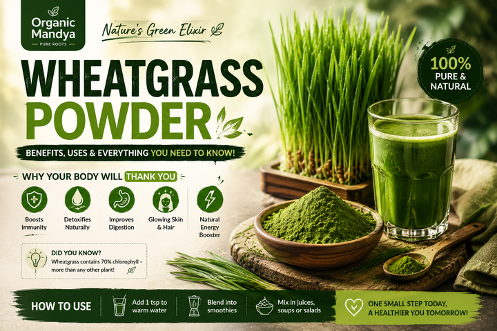 Wheatgrass Powder Benefits: Complete Guide to Health Effects & How to Use