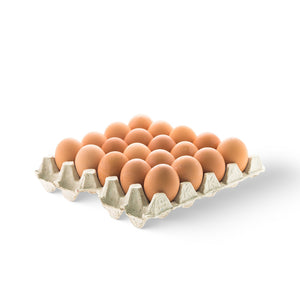 Eggs Brown