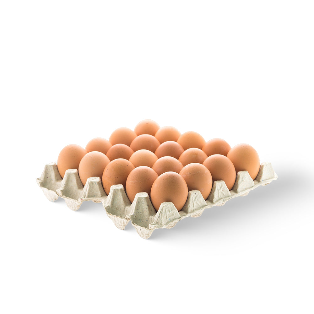 Eggs - Brown