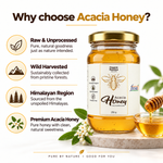 Organic Acacia Honey Raw & Unheated