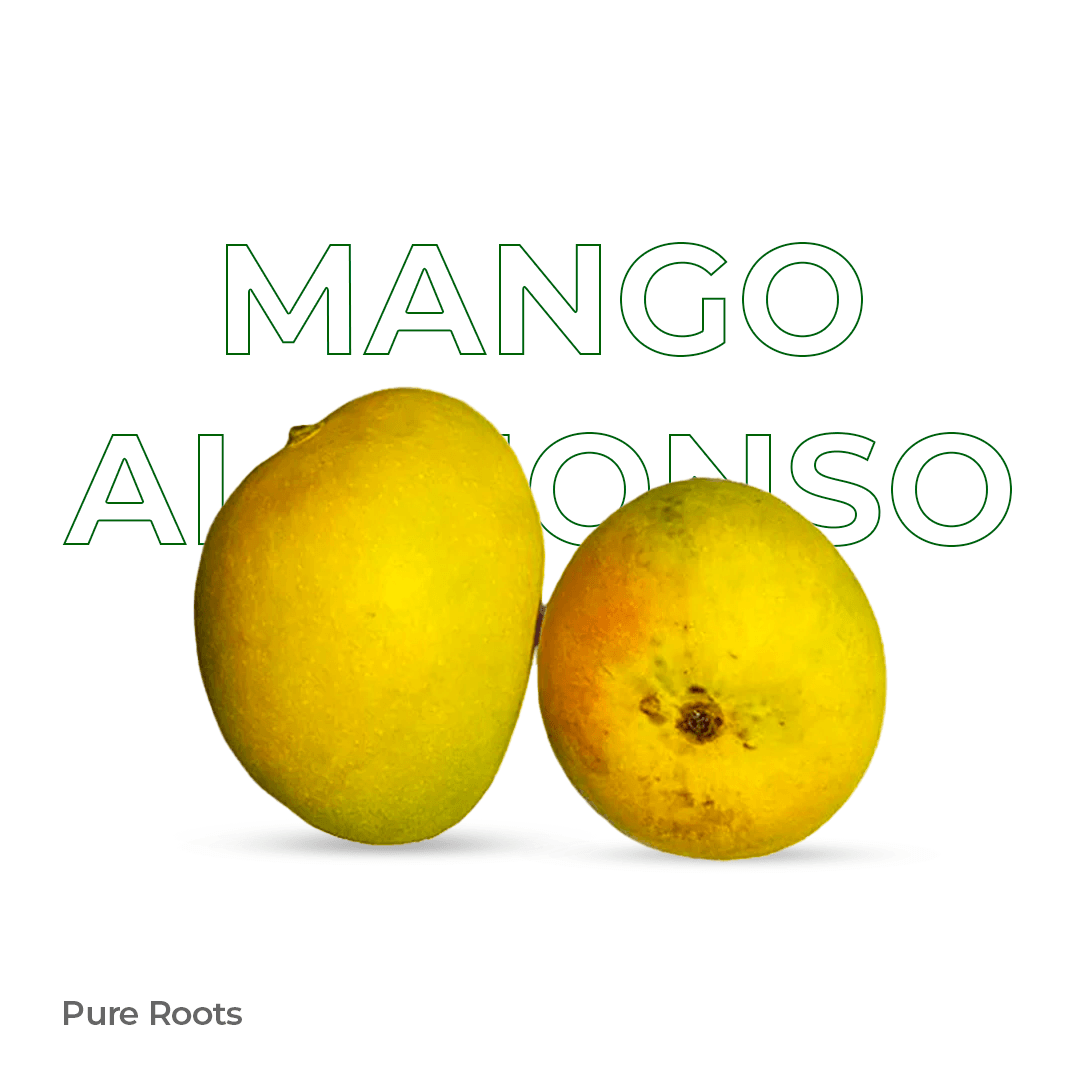 Organic Mango Alphonso (Semi-ripe & mildly sweet) - Organic Mandya