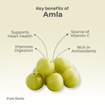 Organic Amla (Indian Gooseberry / Nellikai)