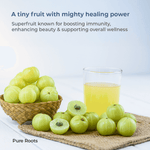 Organic Amla (Indian Gooseberry / Nellikai)