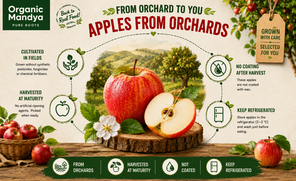 harvested apple