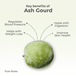 Organic Ash Gourd