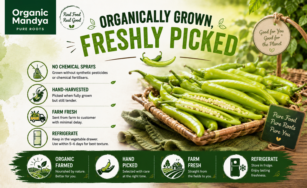 organic-grown-chilli