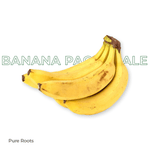 Organic Banana Pachabale (Robusta Banana)