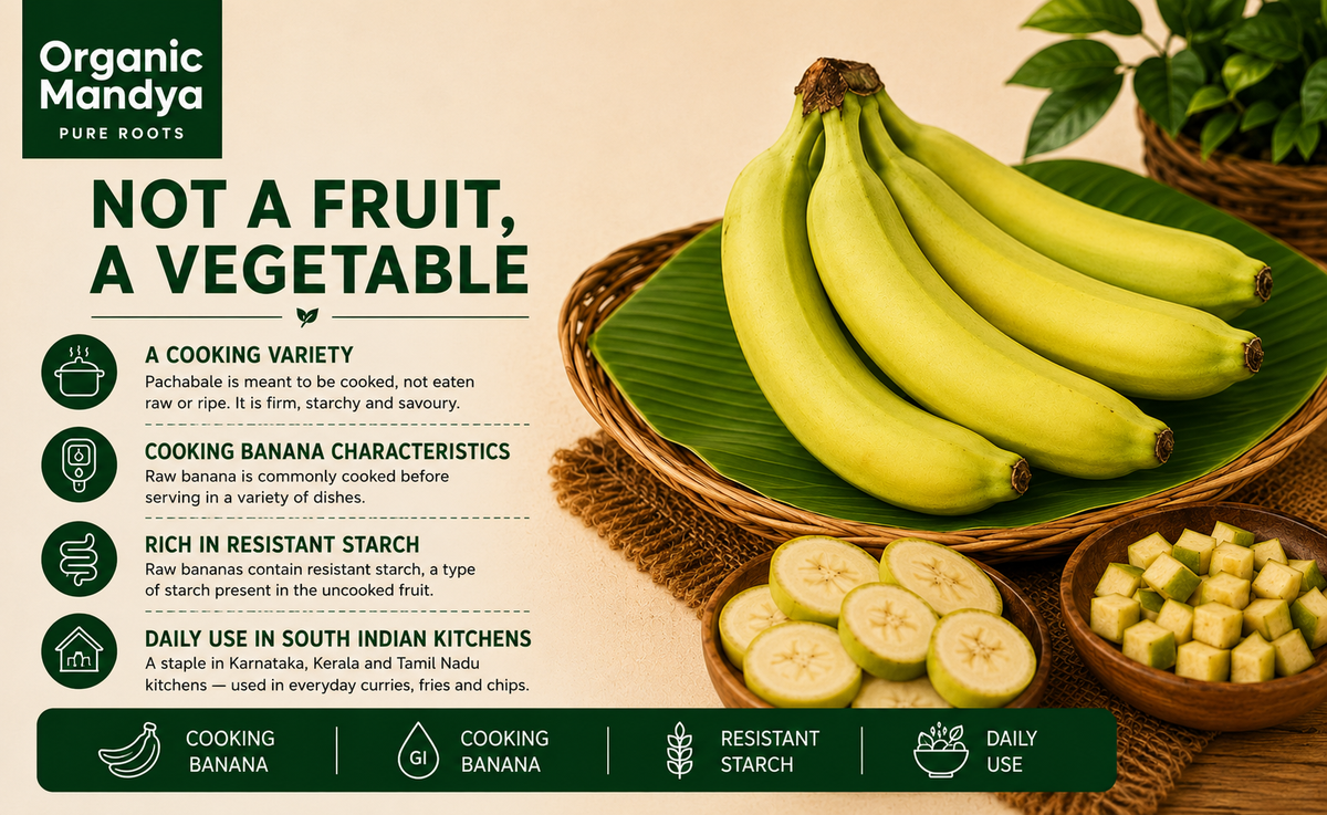 Fresh green bananas