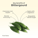 Organic Bittergourd (Karela / Hagalakayi)