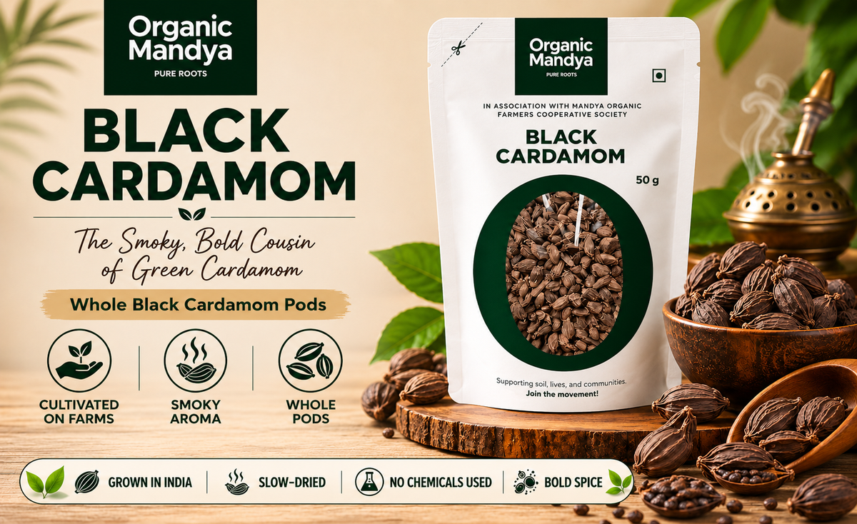 cultivated black cardamom