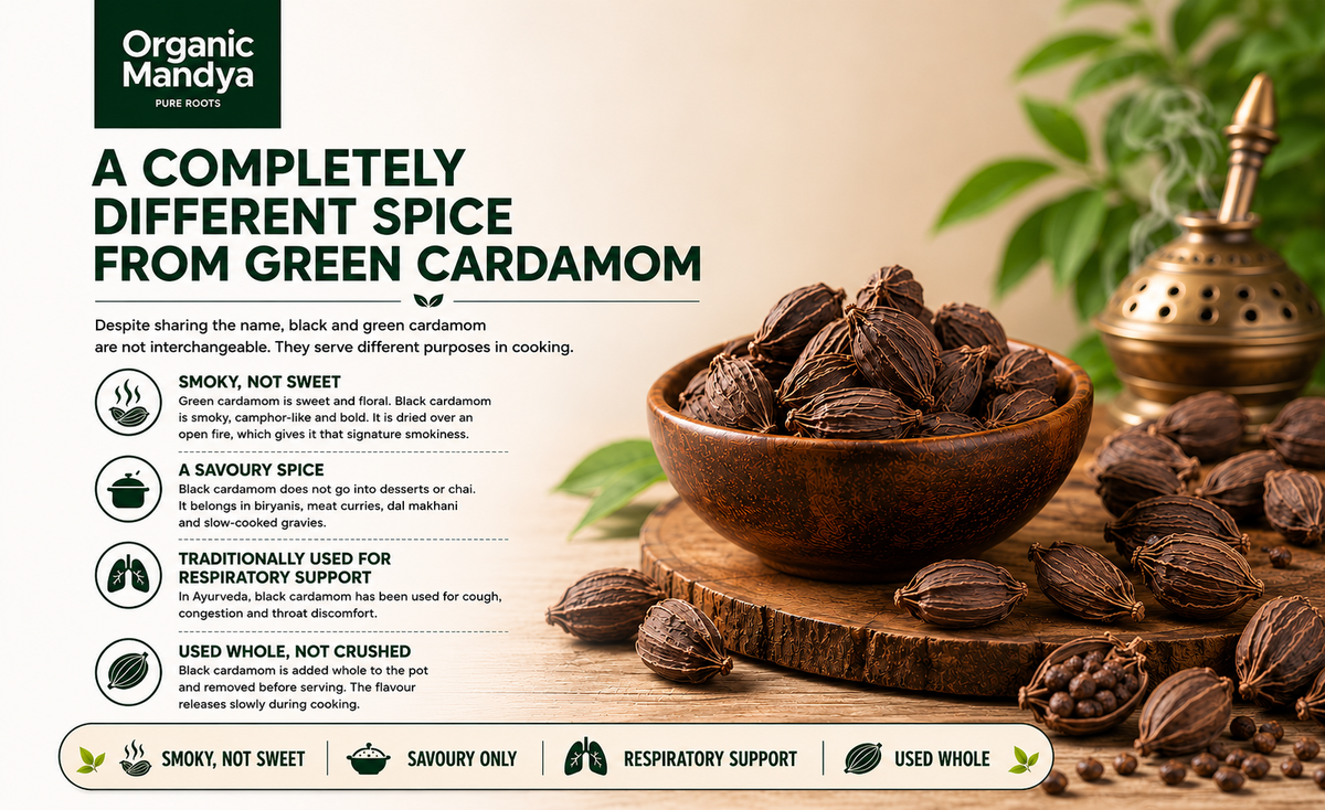 spice black cardamom