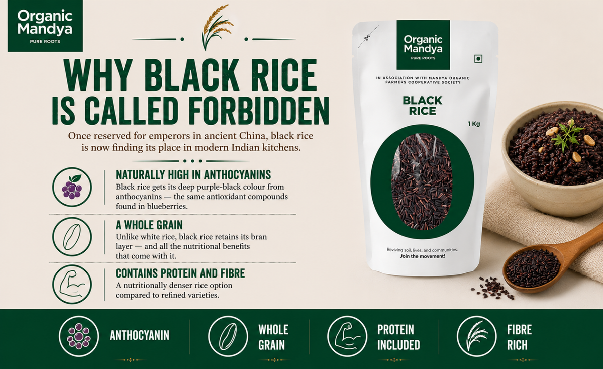anthocyanin - black - rice