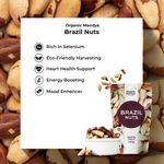 Brazil Nuts