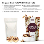Brazil Nuts