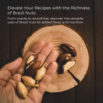 Brazil Nuts