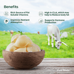 A2 Desi Butter – Organic Cow Milk Butter (Makhan)