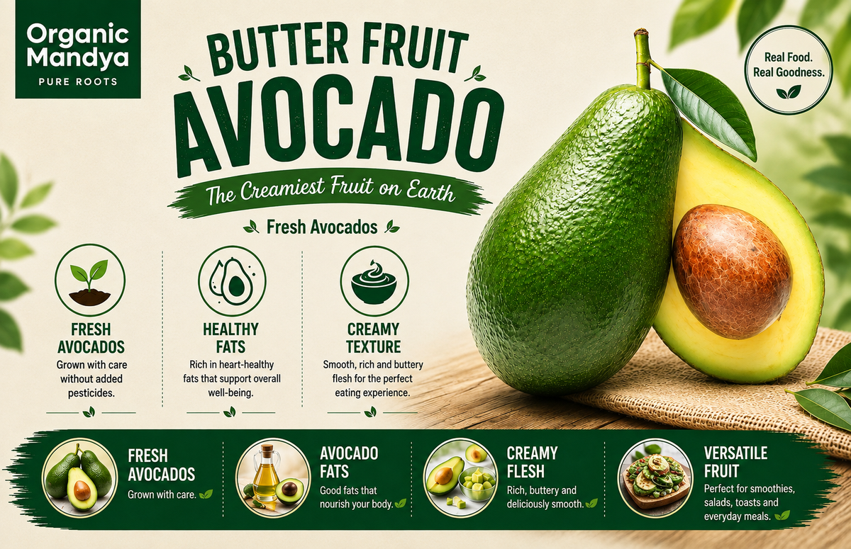 Fresh whole avocado