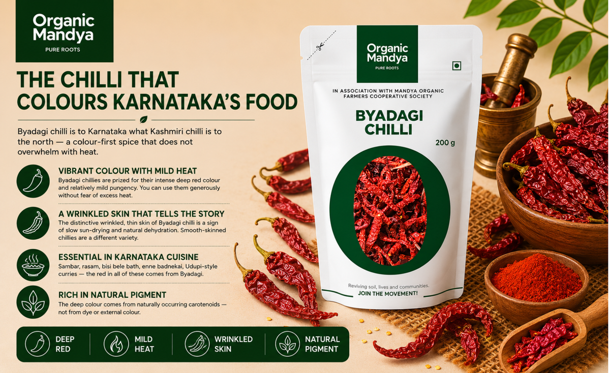 traditional-karnataka-chilli