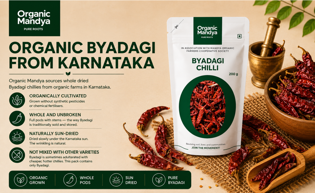 organic-byadagi-chilli