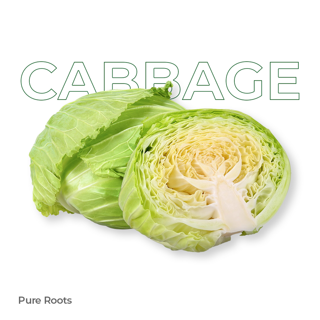 Organic Cabbage