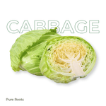 Organic Cabbage (Green Cabbage / Elekosu)