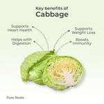 Organic Cabbage (Green Cabbage / Elekosu)