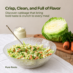 Cabbage (Elekosu) Fresh & Organic