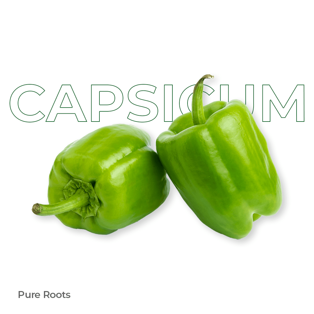 Organic Capsicum - Organic Mandya